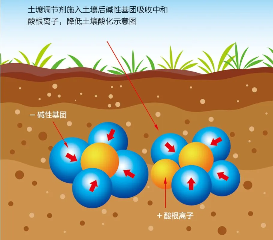 根结线虫专用机:大棚土壤防治的实用装备与选购要点